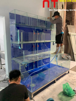 Lắp đặt bể cá hải sản 4 tầng